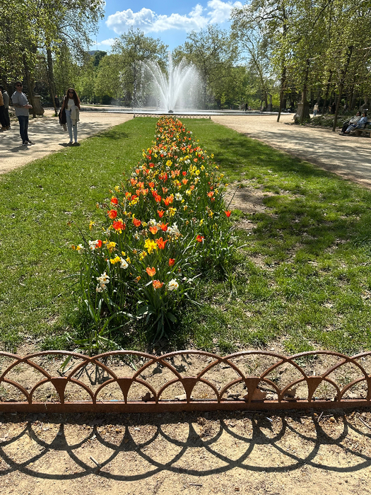IMG_8957 (525x700, 660Kb)