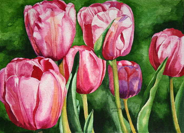 Tulips (700x506, 471Kb)
