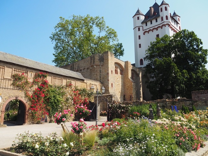 Rosenstadt_Imagebilder-90 (900x725, 191Kb)