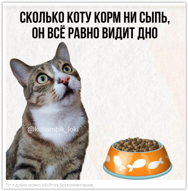 Screen Shot 04-27-25 at 12.20 AM (605x615, 672Kb)
