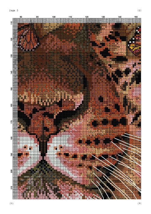 Page_00005 (494x700, 523Kb)