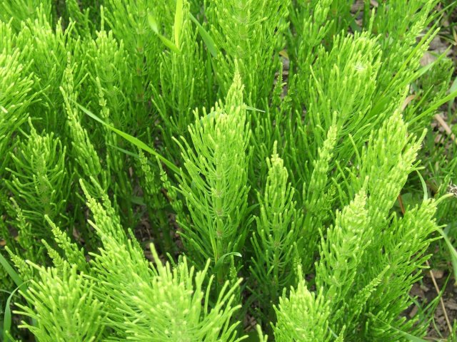 12 (640x480, 371Kb)