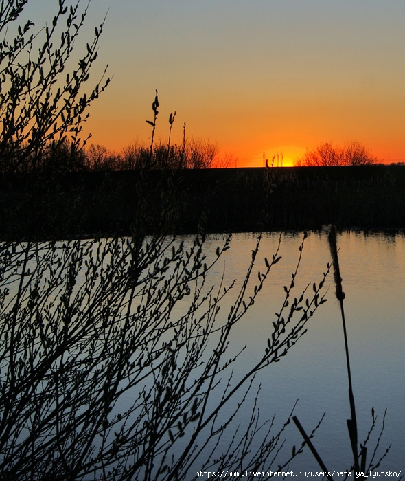 DSC03880 (590x700, 384Kb)