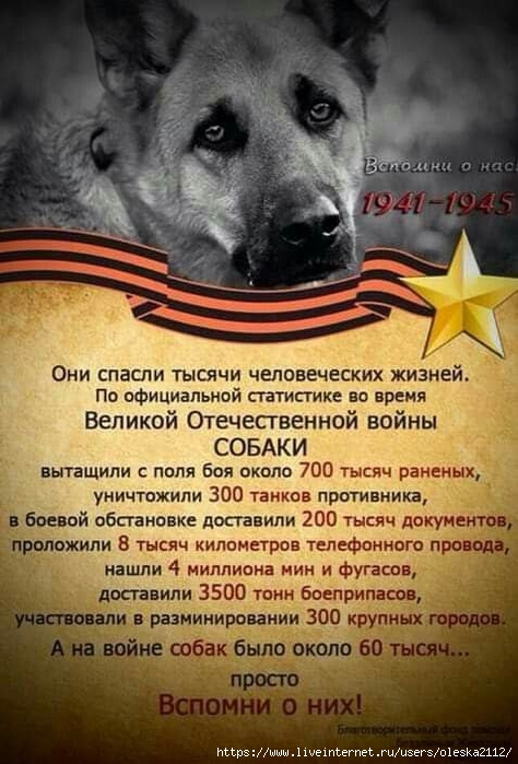  (474x700, 259Kb)