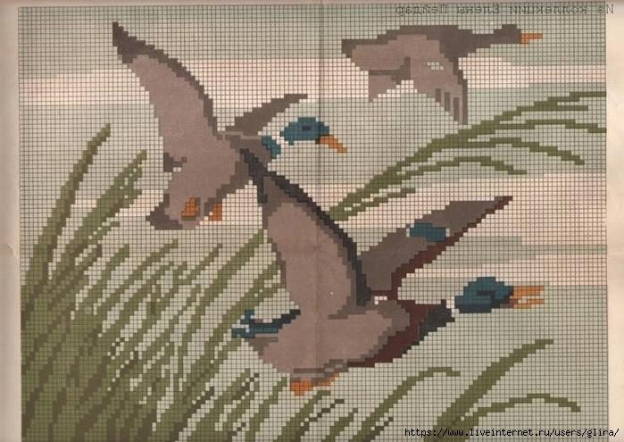 3,3 (700x495, 271Kb)