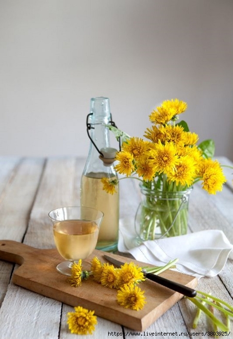 content_dandelion (480x700, 194Kb)