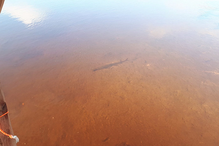 5103149_pil6_3_ (700x466, 41Kb)