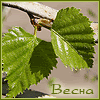 Spring_03 (100x100, 26Kb)