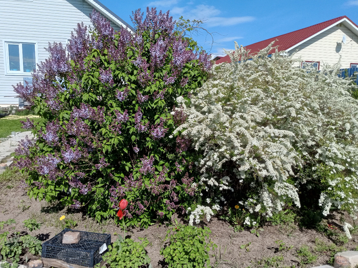 IMG_20250512_135445_441 (700x525, 637Kb)