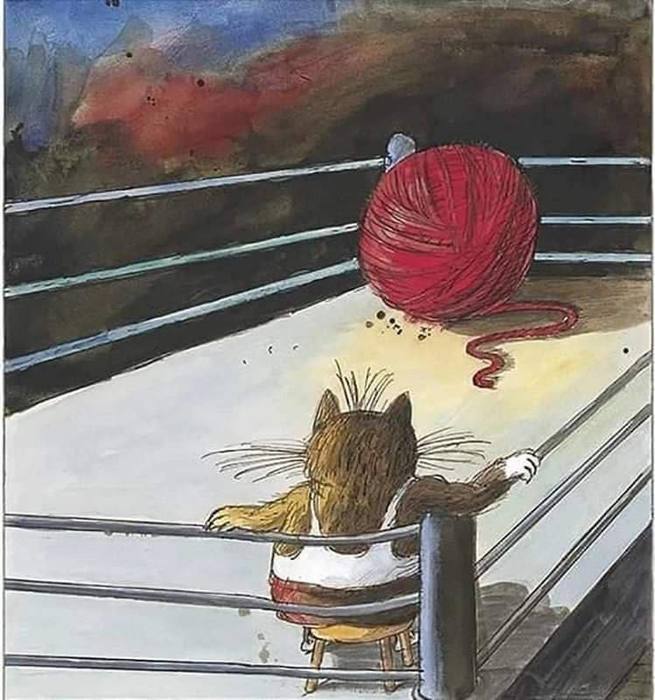 1161737_cat (655x700, 64Kb)