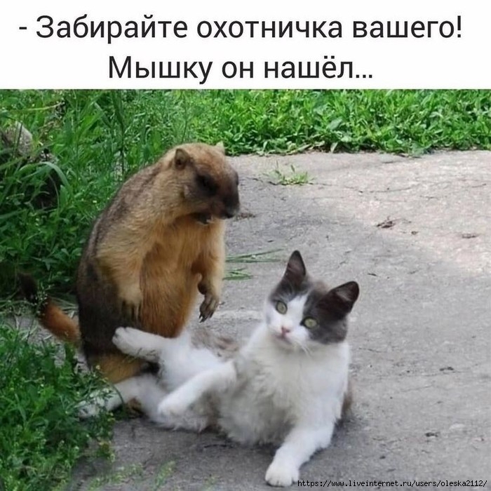   (700x700, 258Kb)