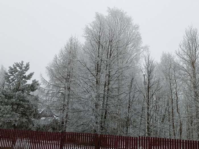 IMG20250210124522 (700x525, 180Kb)