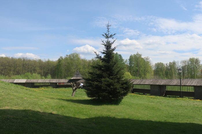 IMG_8948 (700x466, 133Kb)