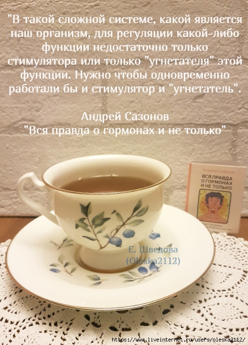 quote-2025-05-23-dc0818a8c3d6a7bcb0bfa6c72c471c69 (502x700, 303Kb)