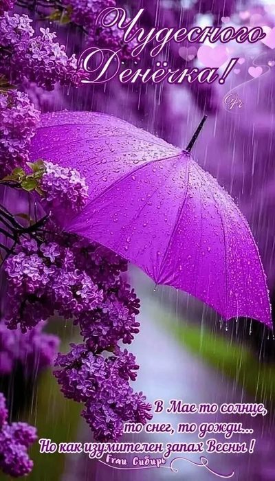 IMG_20250526_162728 (400x700, 83Kb)