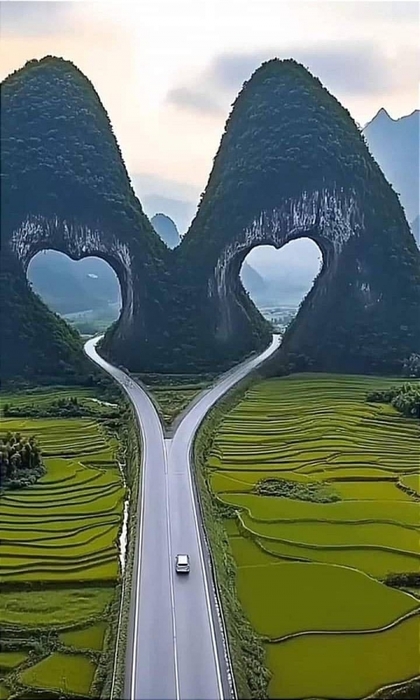 3416556_499793274_724862130048405_6251421170906223013_n (420x700, 198Kb)