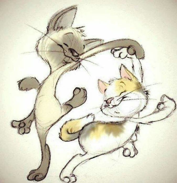 2 кота.12 (675x700, 324Kb)