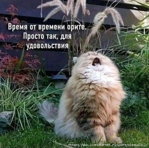  (510x507, 190Kb)