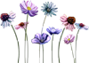 pic (100x71, 15Kb)