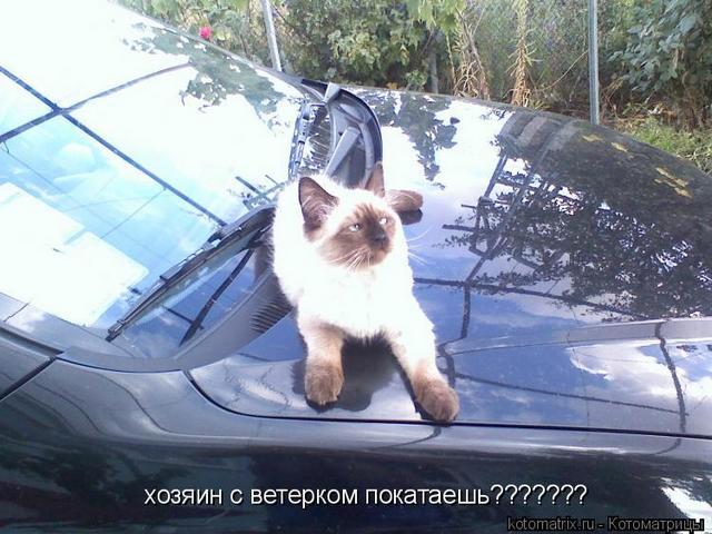 4743317_2L (640x480, 58Kb)