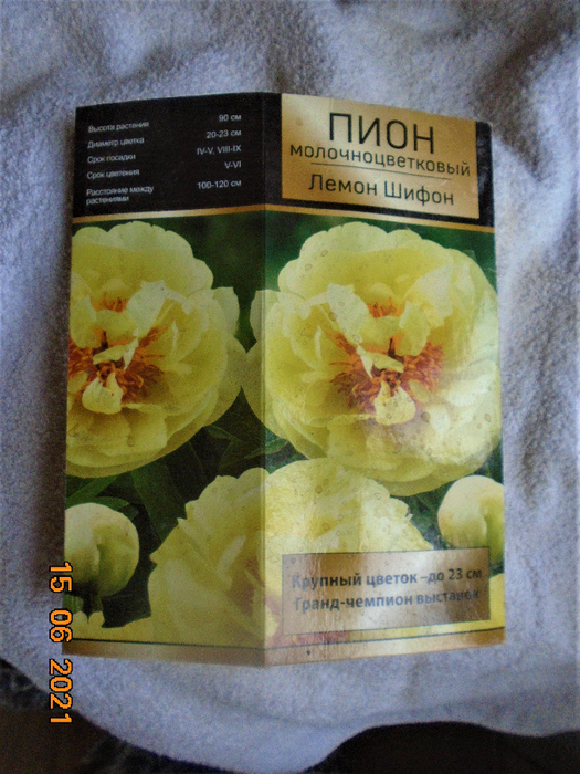 DSC04875 (525x700, 506Kb)