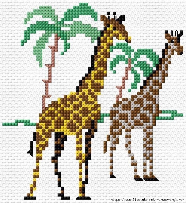 3,6 (607x660, 359Kb)