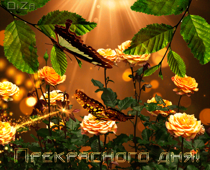 ud5 (700x568, 2664Kb)