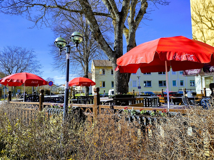 IMG_20250402_142530017_HDR (700x525, 629Kb)