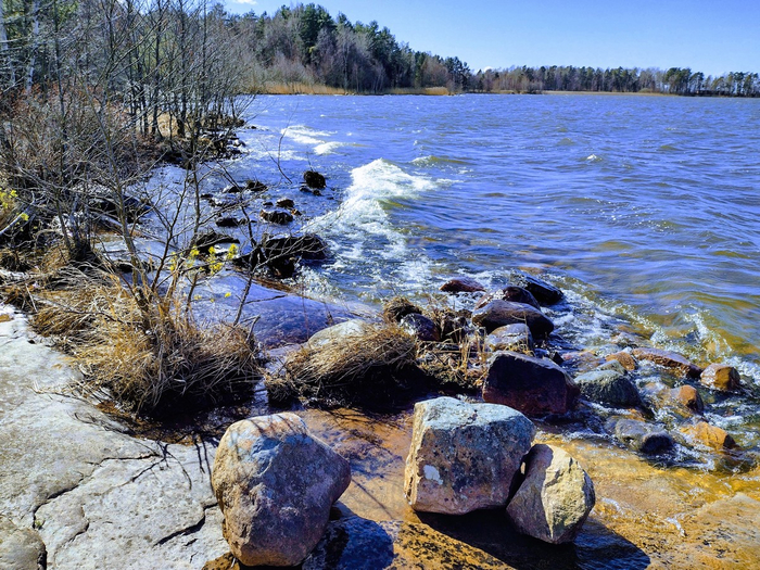 IMG_20250405_140446481_HDR (700x525, 561Kb)