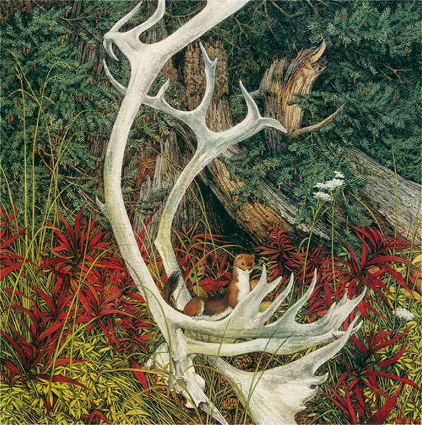 Bev-Doolittle-6 (600x604, 409Kb)