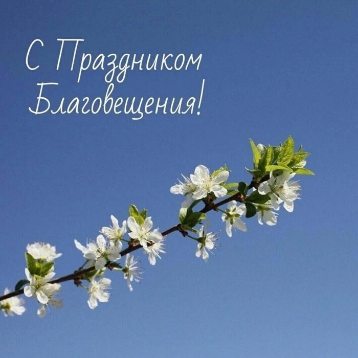 5152557_hsuuO_eBZI_1_ (700x700, 258Kb)