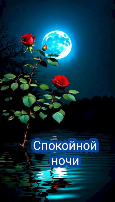 2 (399x700, 58Kb)