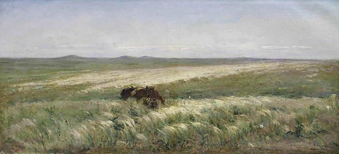 1697789513_priroda-club-p-surikov-step-krasivo-7 (700x318, 222Kb)