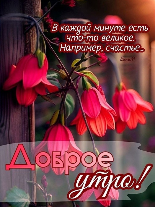 . O2MGzw-Sa5vUe6nSyF6TUNd-e-UwdOy8JQtPhqKaVCSQGsvU3N_eeNGVKUHOBNsowFAHW-siPUJEOOv0L5kwA (525x700, 141Kb)