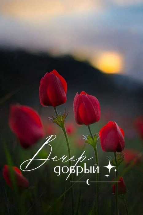 IMG-20250608-WA0036 (466x700, 16Kb)