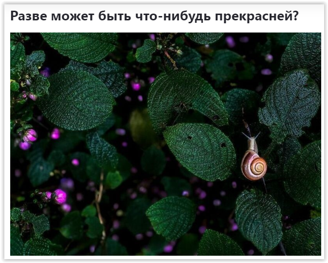 Screen Shot 04-08-25 at 04.36 AM (675x542, 725Kb)
