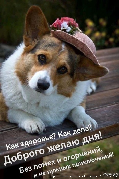 10 (466x699, 182Kb)