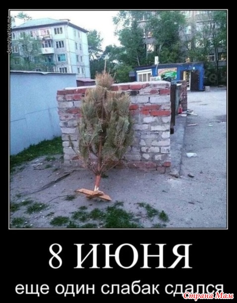 3416556_27666045_34112thumb500 (478x610, 83Kb)
