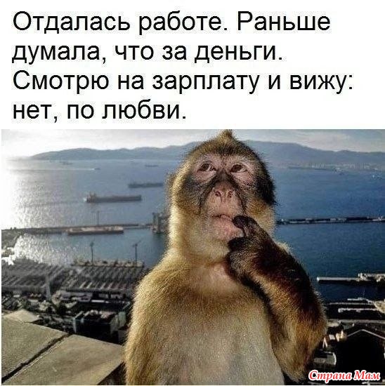 3416556_27886201_85203thumb500 (548x550, 80Kb)