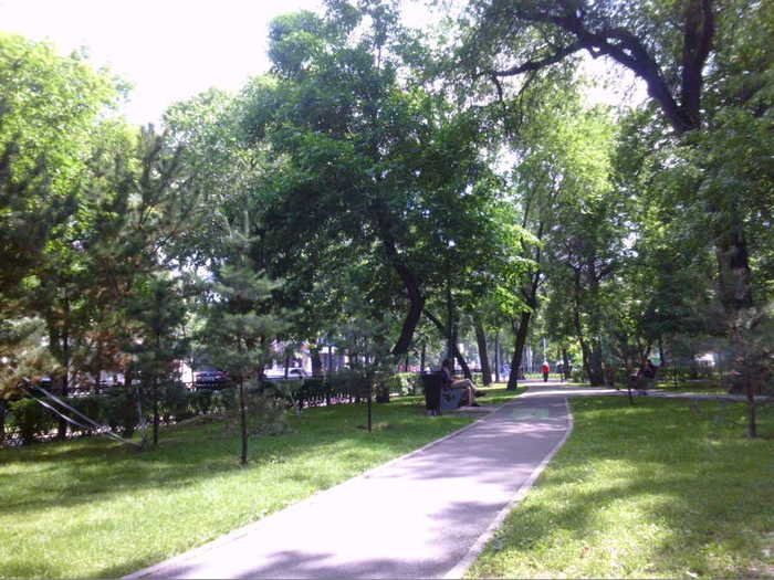 4752699_aaSUNP0164 (700x525, 60Kb)