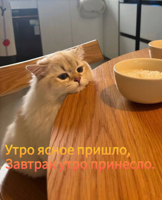  (567x700, 435Kb)