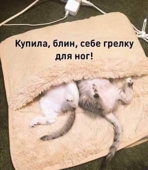  (480x554, 45Kb)