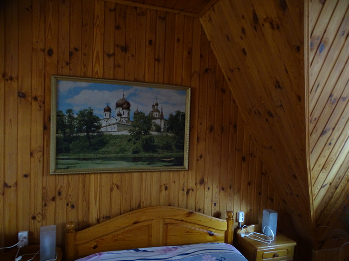 DSC00222 (700x525, 378Kb)