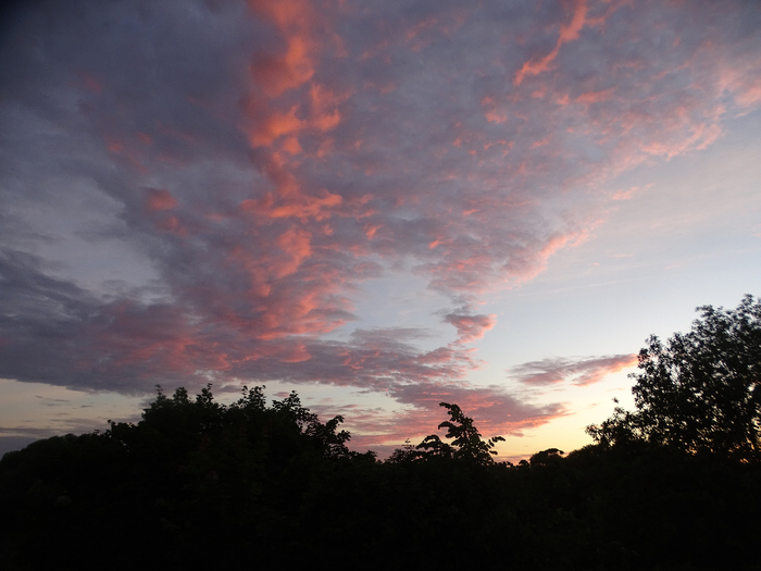 DSC00372 (700x525, 307Kb)