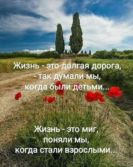 IMG-20250620-WA0043 (560x700, 64Kb)