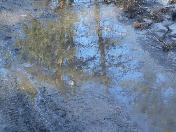 4533467_DSCN73981 (700x525, 314Kb)