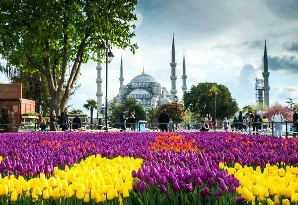 depositphotos_93222636-stock-photo-the-blue-mosque-in-turkey (900x714, 139Kb)