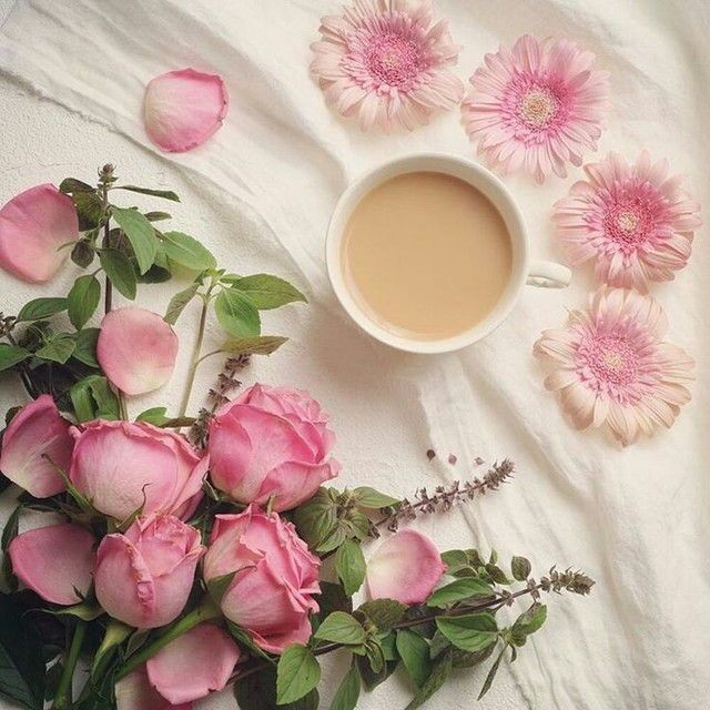 2835299_7c52feb7537dd7c9839f7bb9a7a6ae6d (640x640, 76Kb)