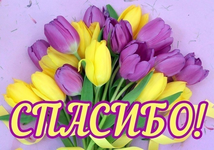 . image (700x490, 103Kb)