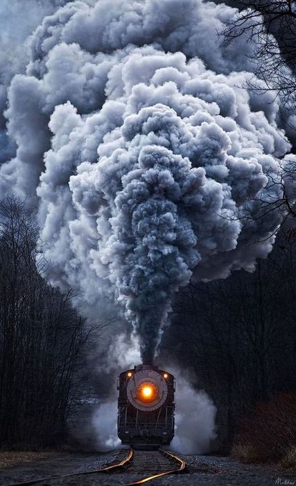 f1a748b2791e1c820fa545e7621b9b6a (427x700, 63Kb)